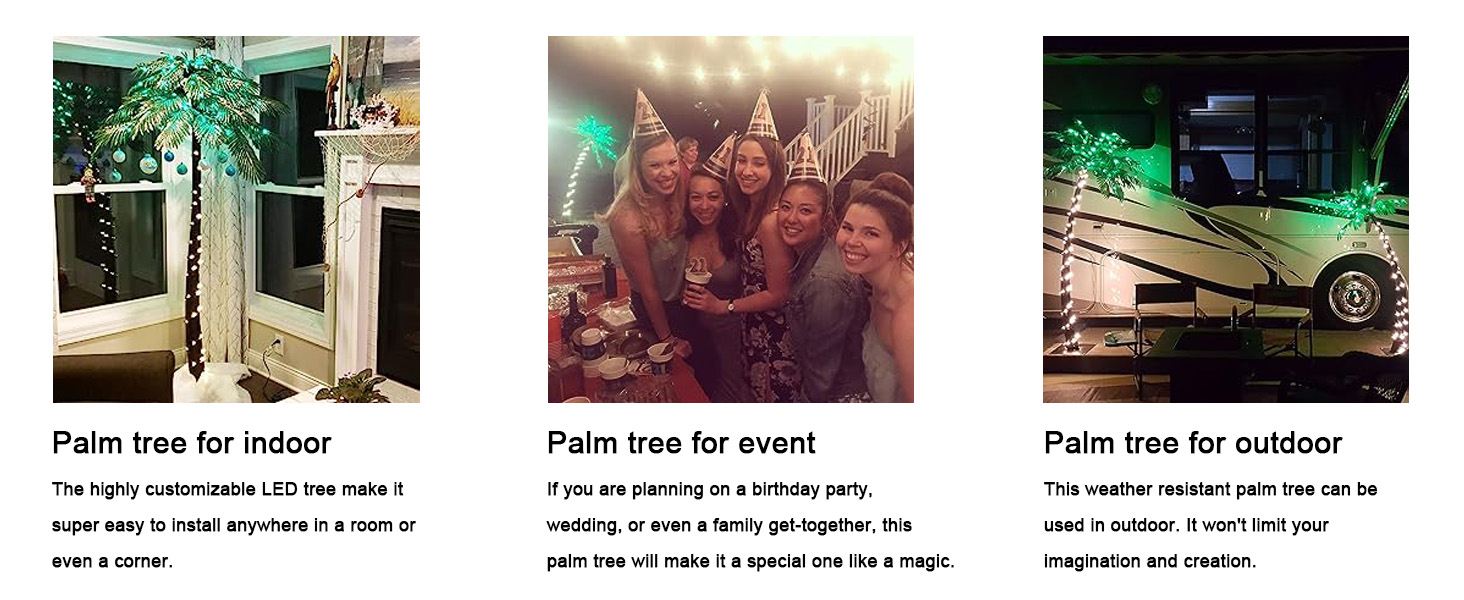 Plam tree