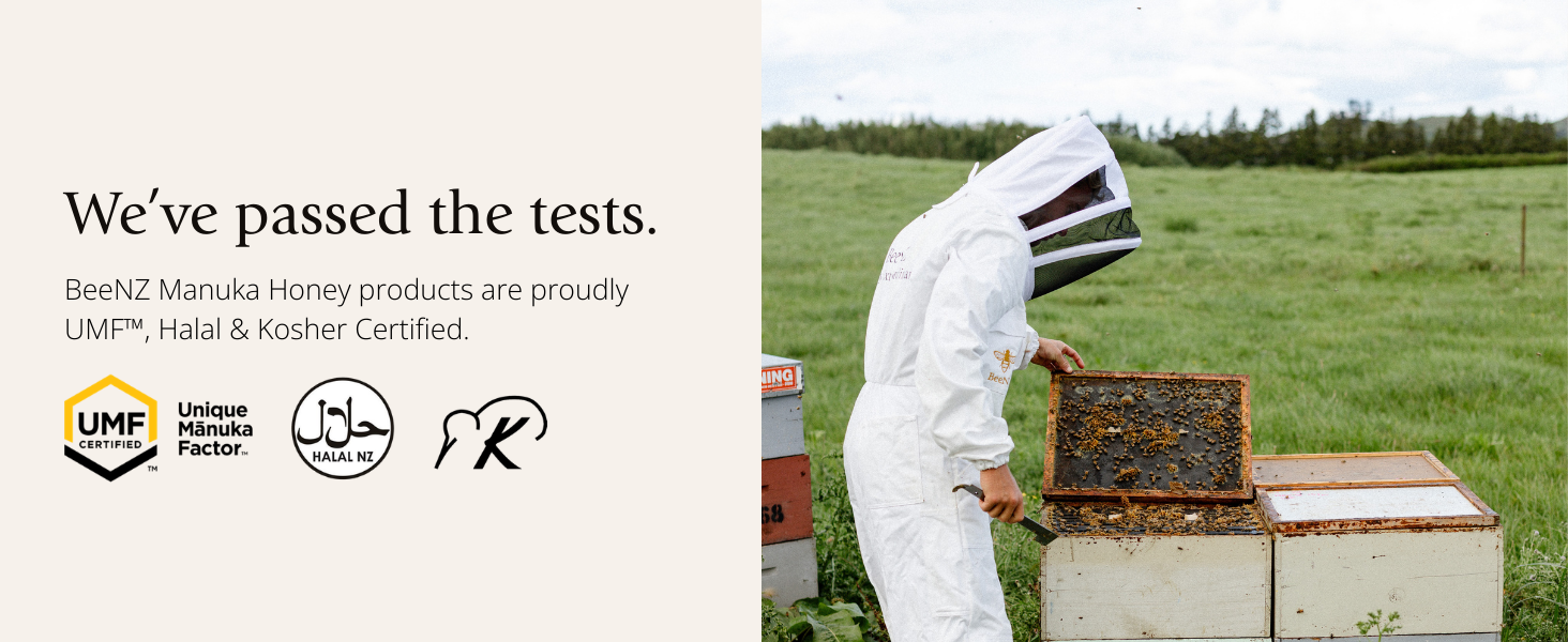 BeeNZ beekeeper checking hives. BeeNZ are proudly UMF, halal and kosher certified