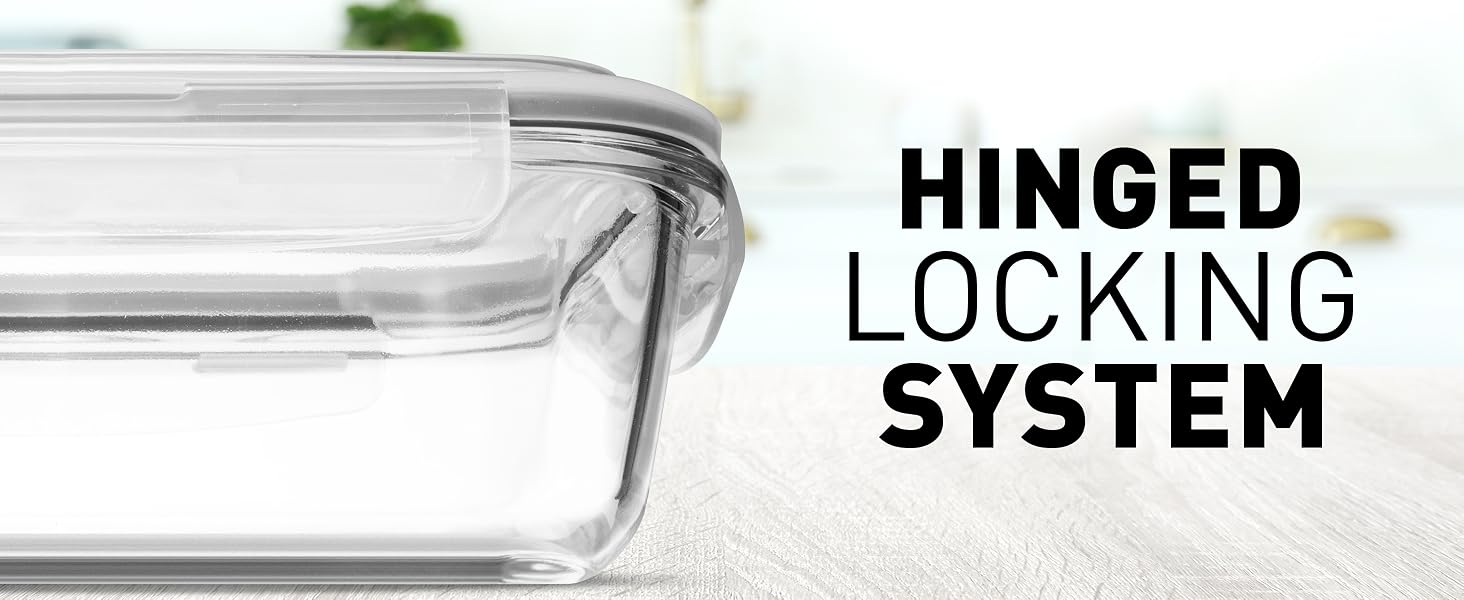 HINGED LOCKING SYSTEM