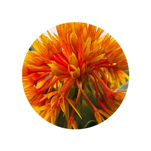 safflower oleosomes, sunscreen with zinc oxide