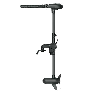 haswing 65lbs transom motor