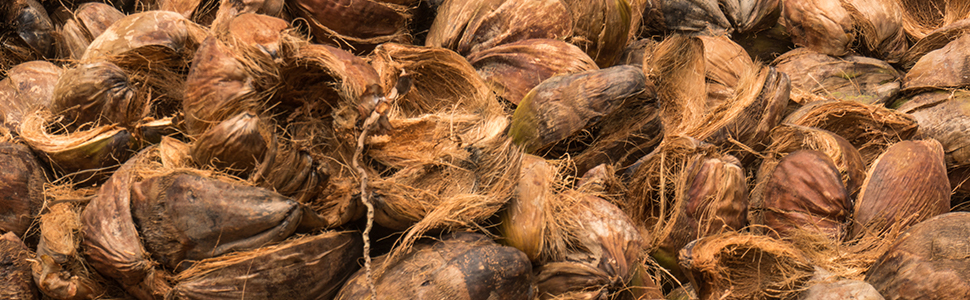 organic Garden coir coco peat coco husk coconut soil amendment dirt additive sterile seed starter