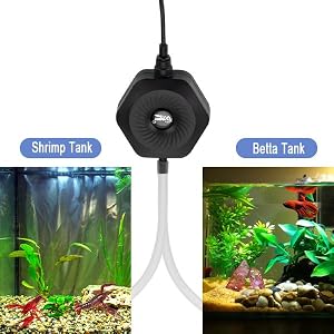 small tank air pump