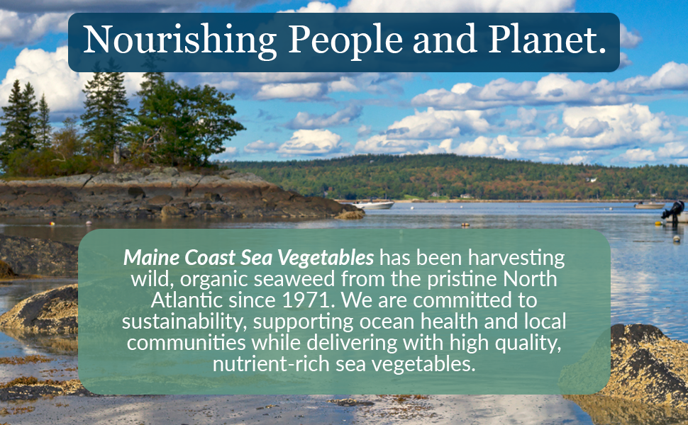 Maine Coast Sea Vegetables
