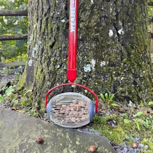 Overview of small nut gatherer