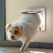 Dog entering through Pet Door