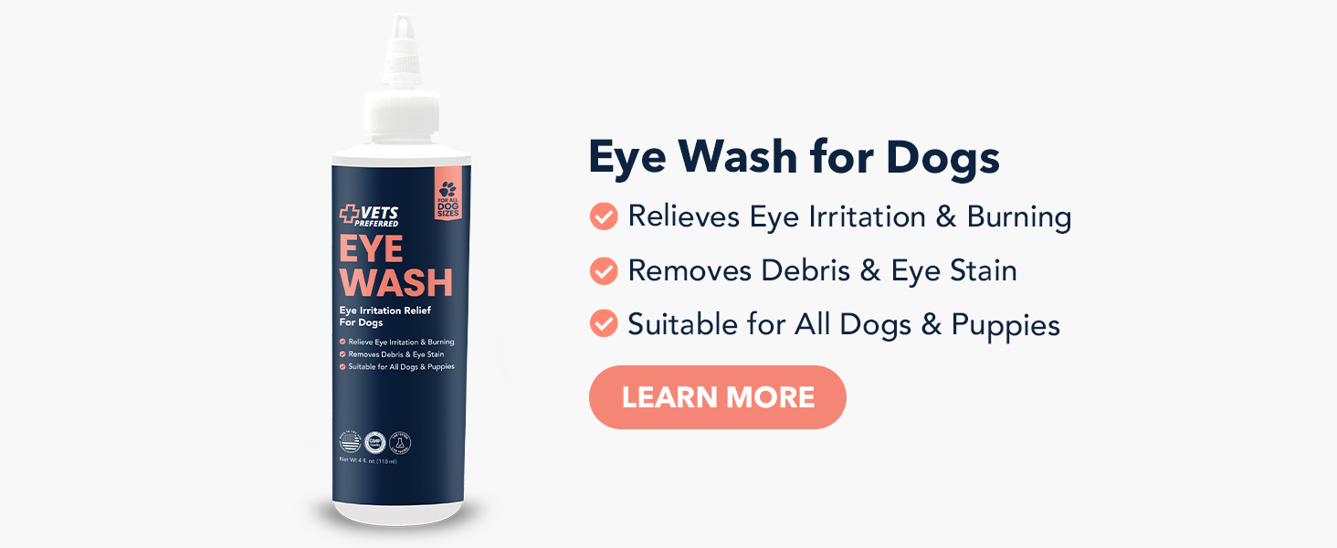 dog Diarrhea