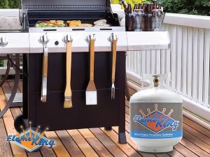 Flame King 20-Pound Steel Propane Tank Cylinder with Type 1 Overflow Protection Device Valve