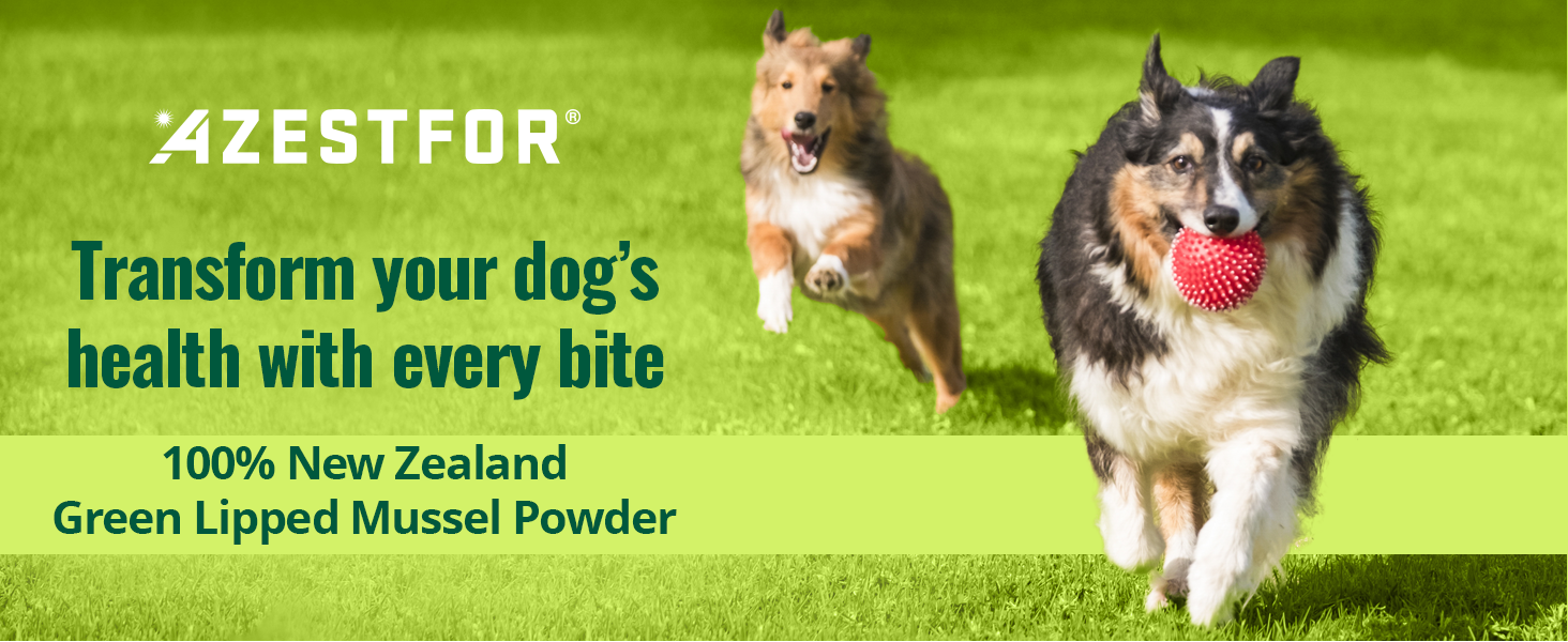 Transform your dog&amp;#39;s health with every bite. 100% New Zealand Green Lipped Mussel Powder