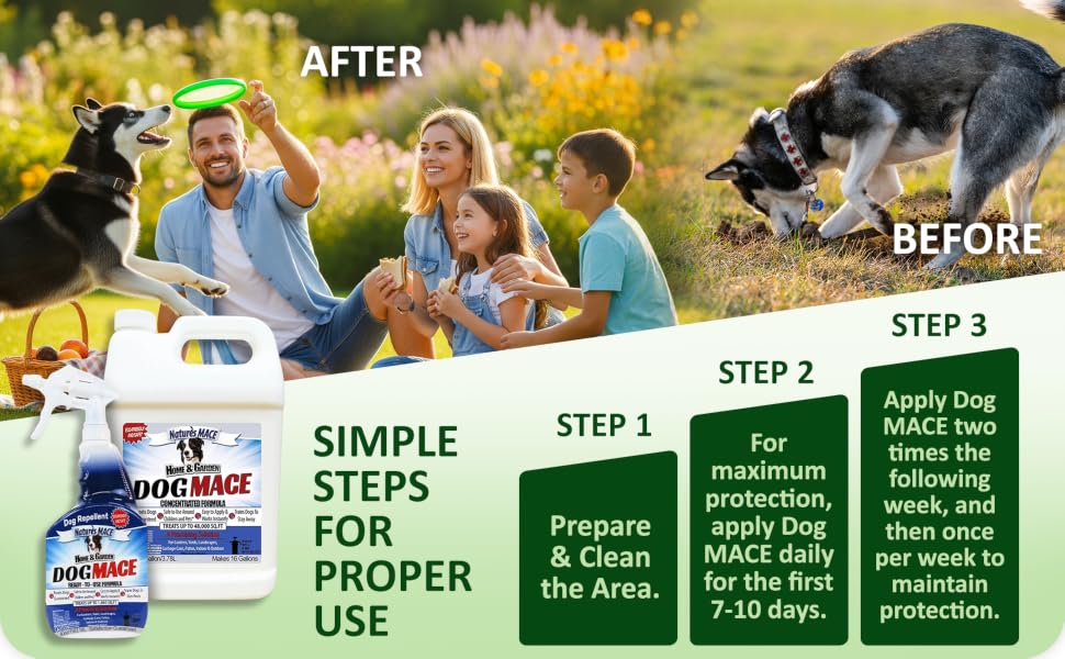 Effective dog repellent training tool keeps dogs off property ideal for both indoor and outdoor use