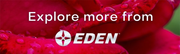 Explore more from Eden