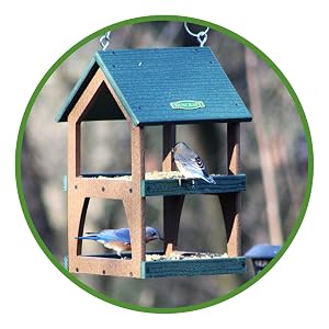 lyric, bird seed, no mess bird seed, no waste birdseed, bird food, lyric bird seed, wild bird seed