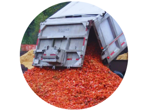 Organic Soil Made With Lobster Meal