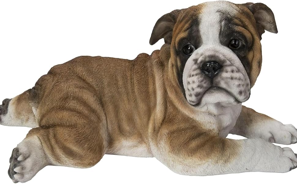 Lying Bulldog Puppy