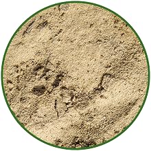 sand mixed with pine bark and perlite for added drainage snake plants and cactuses love dry soil