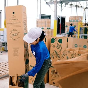indoor plant shipping box, farm fresh plant delivery, packaged plant, safe shipping for plants, box