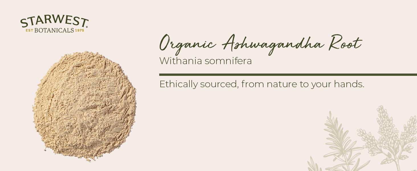 raw en polvo organico india ashwaganda aswaganda 1lb ashwaghanda 66 tea