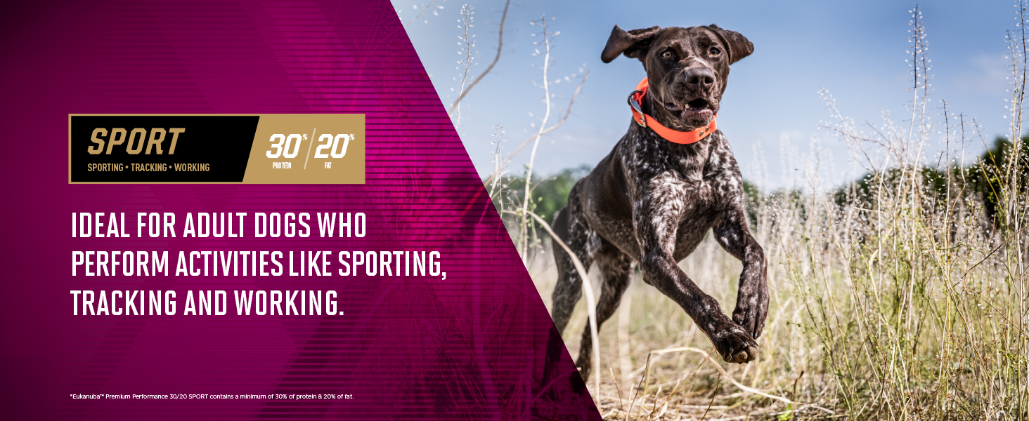 Ideal for Adult dogs who perform activities like sporting, tracking and working