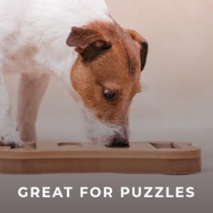 tricky trainers cloud star training treats fun dog toys puzzles games brain game thinking obstacle