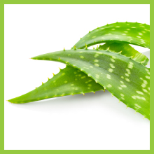 Aloe Vera, Horse Tail, Supplements, Vitamins, Hair, Skin, Nails