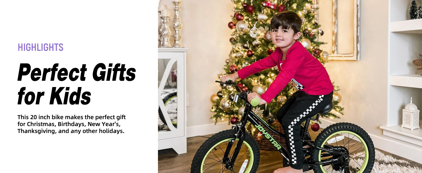 20 INCH BIKE FOR CHRISTMAS GIFTS