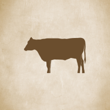 cow graphic
