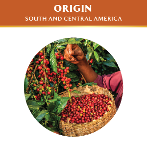 Roastesso Espresso Capsules Origin Coffee Beans for Nespresso Original Line Machines Pods Capsules
