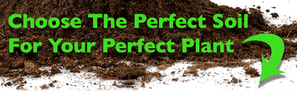 Perfect Plants organic planting mix soil dirt gardening medium carnivorous plant succulent bonsai