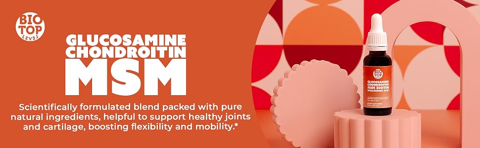 glucosamine, chondroitin, msm