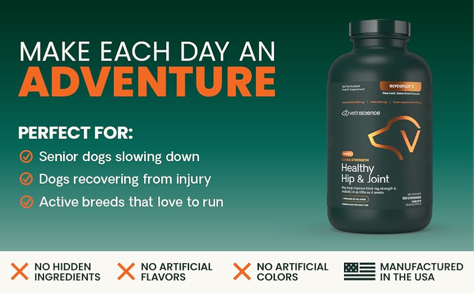 joint support with glucosamine for dogs, green lipped mussel, DMG and more