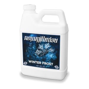 Winter Frost
