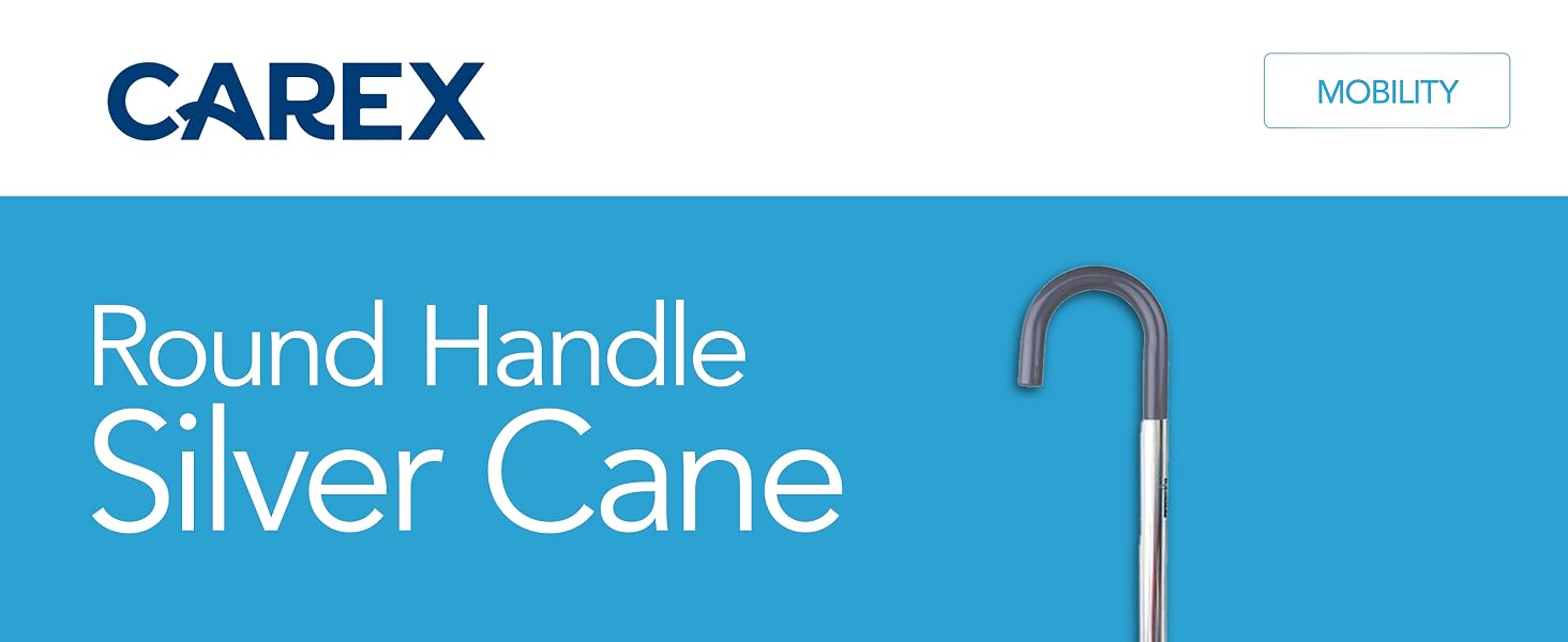 Round Handle Cane Silver
