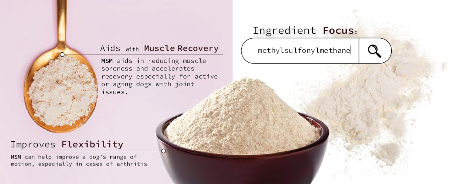 MSM supports muscle recovery, reduces soreness, and improves flexibility in dogs with joint issues.