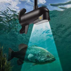sonar imaging mega down imaging transducer