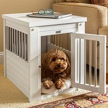 Small Dog in Small Crate