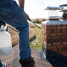 easy application diy simple pump sprayer