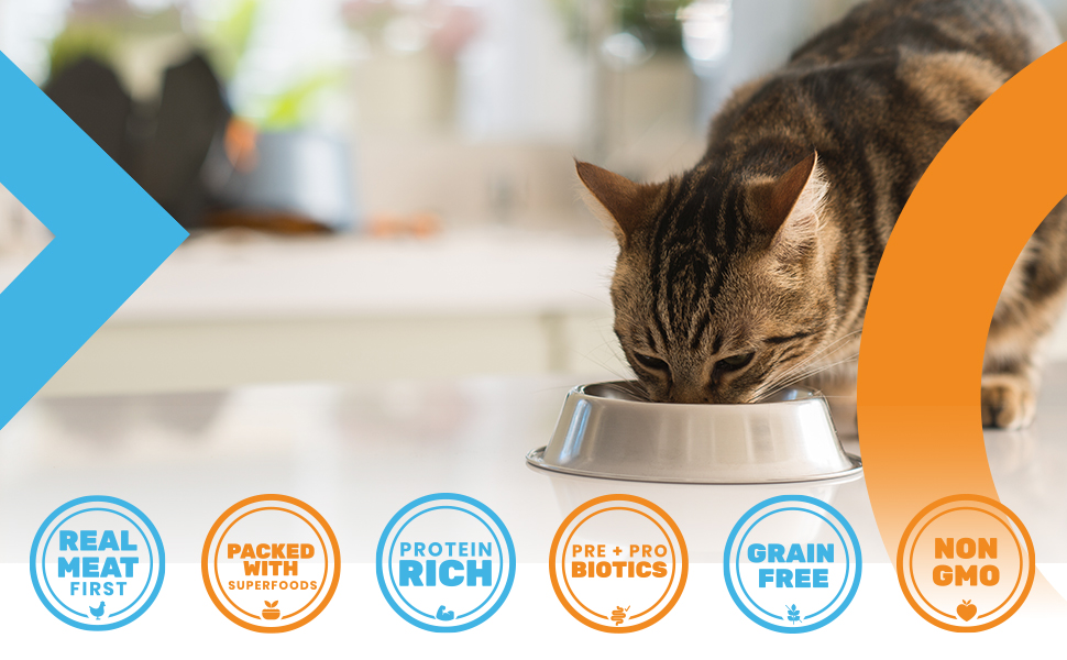 Cat Nude Food Icons