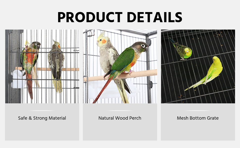 bird cage