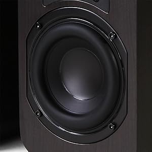 Long throw poly woofer