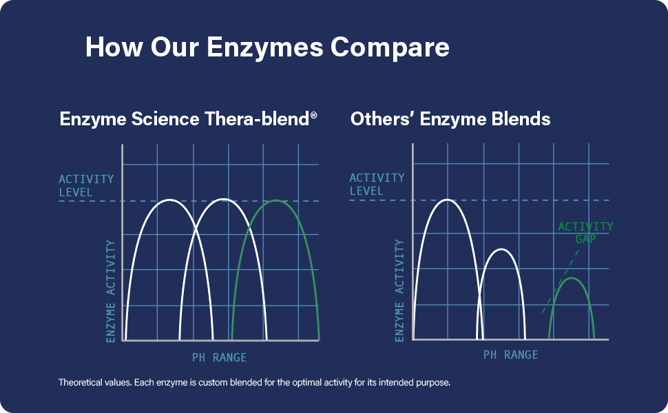 How our Enzymes Compare