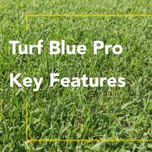 bluegrass, ryegrass, seed, spreader, planting, spring, mix, summer, fall, organic, plants, kit