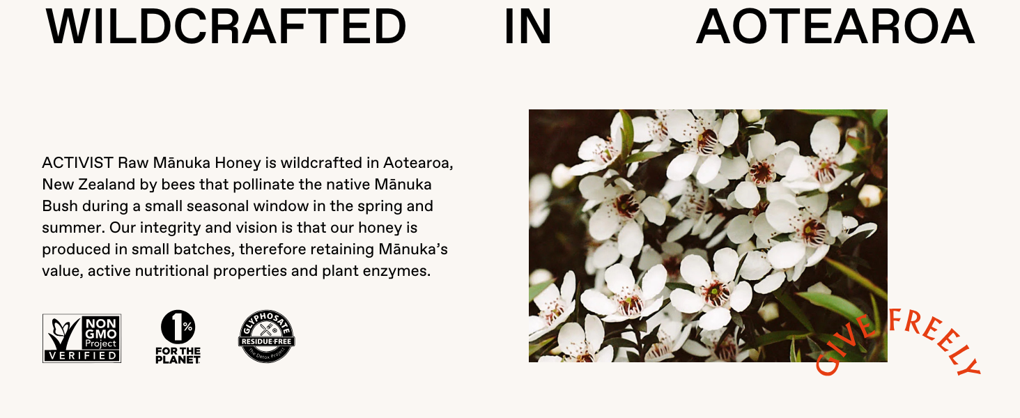 ACTIVIST Raw Mānuka Honey is wildcrafted in Aotearoa, New Zealand and produced in small batches.