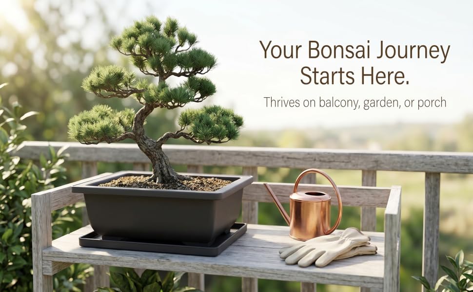 Bonsai Training Pots with Trays