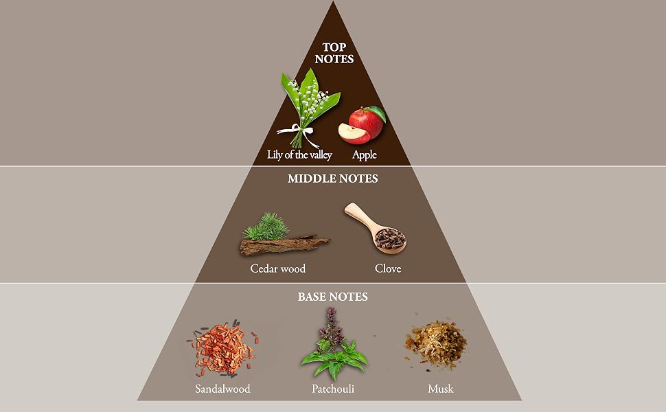 double whisky olfactory pyramid whisky red