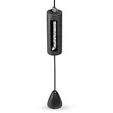 ICE TRANSDUCER