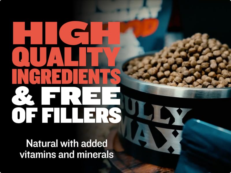 filler free no corn wheat or soy high protein dog food