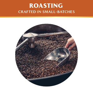 Roastesso Espresso Capsules Fresh Roasted Coffee for Nespresso Original Line Machines Pods Capsules