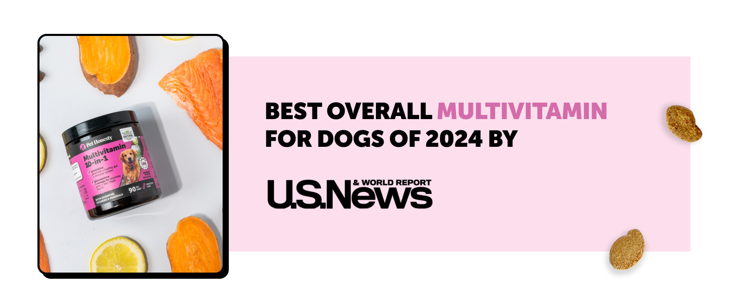 multivitamin for dogs