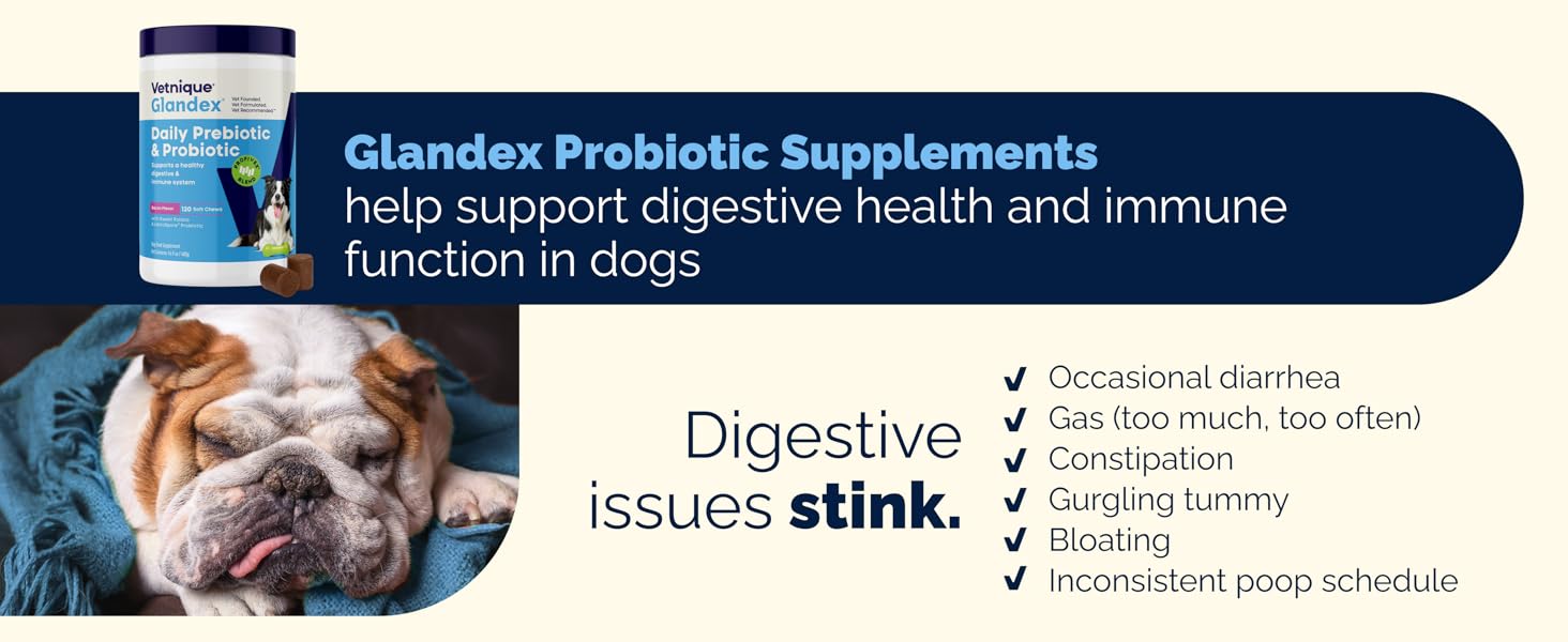 Vetnique Glandex probiotic chews for dog diarrhea, gas, constipation, and bloating