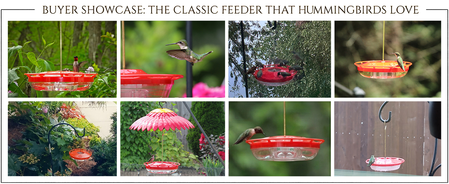 16 oz hummingbird feeders